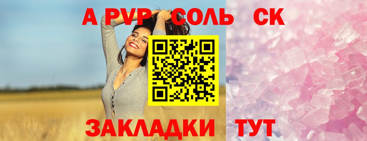 Alfa_PVP СК КРИС Малгобек