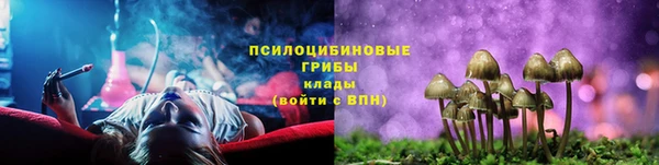 дмт Магадан