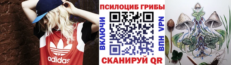 Галлюциногенные грибы Magic Shrooms  Малгобек 