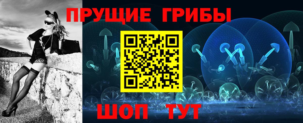 Псилоцибиновые грибы Cubensis Малгобек